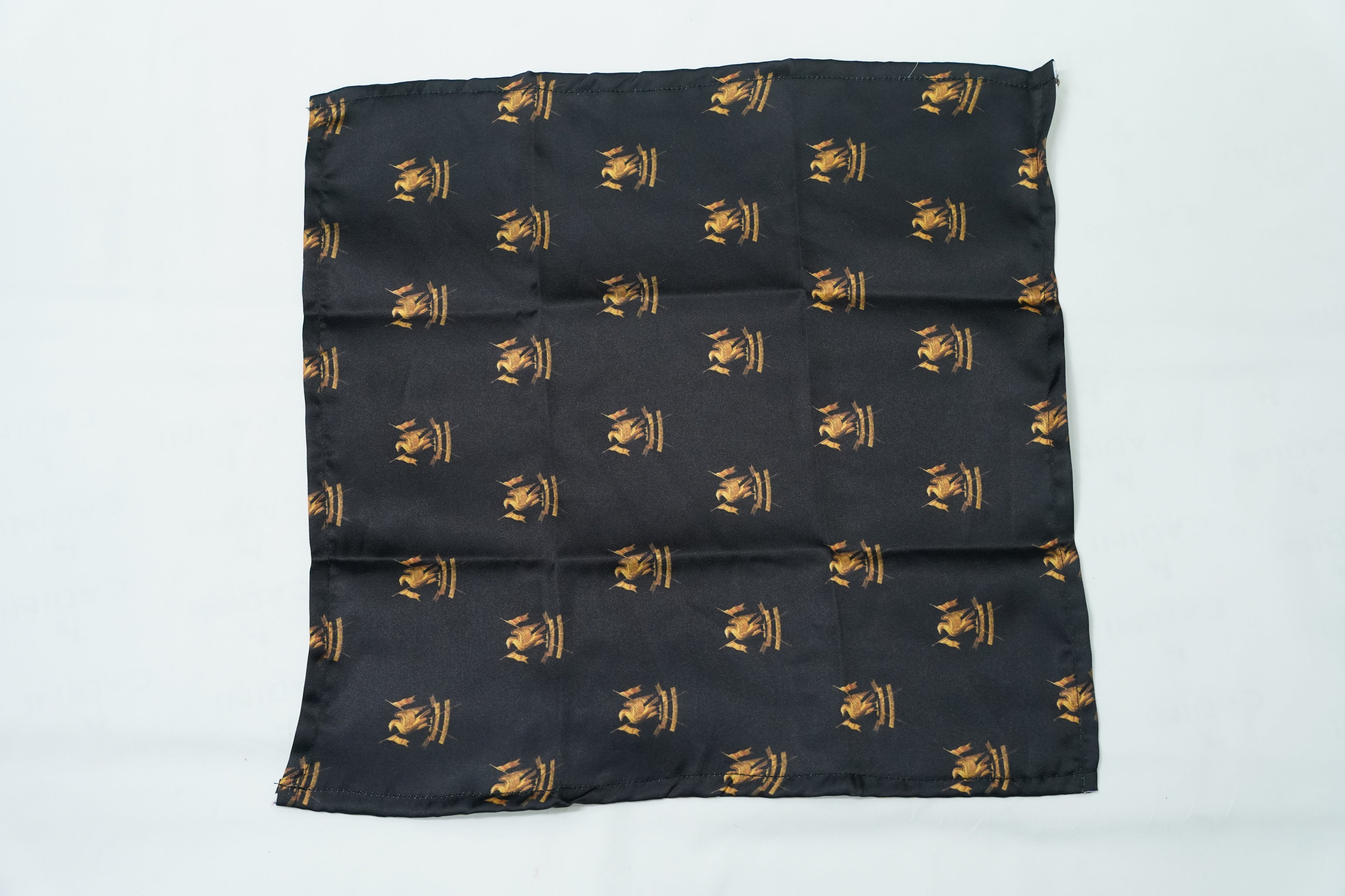 Black Rajput Eagle Pocket Square